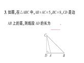 初中數(shù)學(xué)新湘教版八年級上冊5.4專題24 直角三角形中的數(shù)學(xué)思想作業(yè)課件（2025秋）