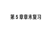 初中數(shù)學(xué)新湘教版八年級(jí)上冊(cè)第5章 章末復(fù)習(xí)作業(yè)課件（2025秋）