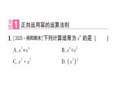 初中數(shù)學(xué)新華東師大版八年級(jí)上冊(cè)11.1專題3 冪的運(yùn)算作業(yè)課件（2025秋）