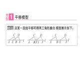 初中數(shù)學(xué)新華東師大版八年級(jí)上冊(cè)12.2專題7 全等三角形的基本模型 作業(yè)課件（2025秋）