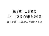 初中數(shù)學(xué)新湘教版八年級(jí)上冊(cè)3.1第1課時(shí) 二次根式的概念及性質(zhì)課堂作業(yè)課件（2025秋）含答案