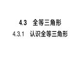 初中數(shù)學(xué)新湘教版八年級(jí)上冊(cè)4.3.1 認(rèn)識(shí)全等三角形課堂作業(yè)課件（2025秋）含答案