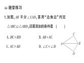 初中數(shù)學(xué)新湘教版八年級(jí)上冊(cè)4.3.2 全等三角形的判定定理( 邊角邊)課堂作業(yè)課件（2025秋）含答案
