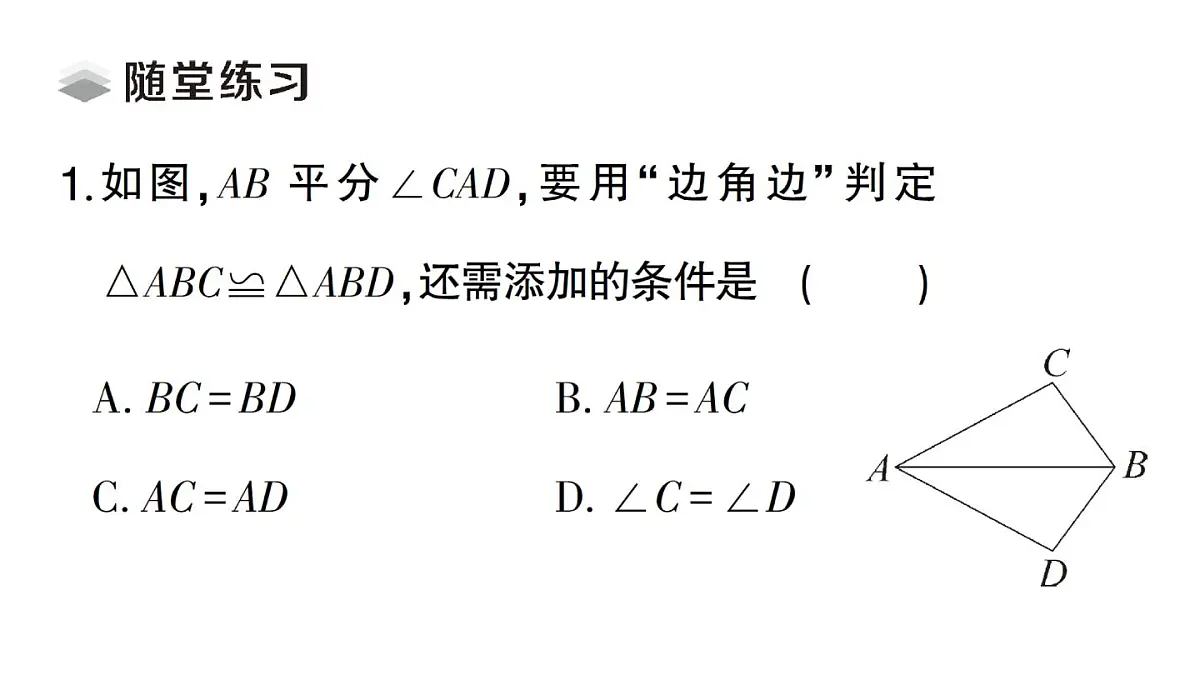 初中数学新湘教版八年级上册4.3.2 全等三角形的判定定理( 边角边)课堂作业课件（2025秋）第3页