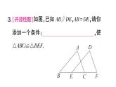 初中數(shù)學(xué)新湘教版八年級(jí)上冊(cè)4.3.3 全等三角形的判定定理( 角邊角、角角邊)課堂作業(yè)課件（2025秋）含答案