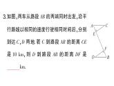 初中數(shù)學(xué)新湘教版八年級(jí)上冊(cè)4.3.5 全等三角形的應(yīng)用課堂作業(yè)課件（2025秋）含答案