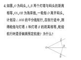 初中數(shù)學(xué)新湘教版八年級(jí)上冊(cè)4.3.5 全等三角形的應(yīng)用課堂作業(yè)課件（2025秋）含答案