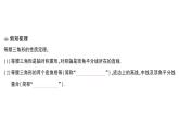 初中數學新湘教版八年級上冊4.5第1課時 等腰三角形的性質定理課堂作業(yè)課件（2025秋）含答案