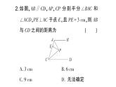 初中數(shù)學(xué)新湘教版八年級上冊5.4第2課時 角平分線的性質(zhì)與判定的運用課堂作業(yè)課件（2025秋）含答案