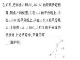 初中數(shù)學(xué)新湘教版八年級上冊5.4第2課時 角平分線的性質(zhì)與判定的運用課堂作業(yè)課件（2025秋）含答案