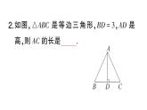 初中數(shù)學(xué)新湘教版八年級(jí)上冊(cè)4.5第3課時(shí) 等邊三角形的性質(zhì)定理與判定定理課堂作業(yè)課件（2025秋）