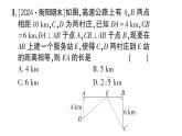 初中數(shù)學(xué)新湘教版八年級上冊第5章提分特訓(xùn)20與勾股定理有關(guān)的實際應(yīng)用作業(yè)課件（2025秋）