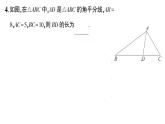 初中數(shù)學(xué)新湘教版八年級上冊第5章提分特訓(xùn)21與角平分線有關(guān)的計算與證明作業(yè)課件（2025秋）