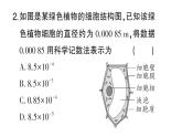 初中數(shù)學(xué)新湘教版八年級上冊第2章階段小測（四）（第2章）作業(yè)課件（2025秋）