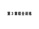初中數(shù)學(xué)新湘教版八年級上冊第3章綜合訓(xùn)練作業(yè)課件（2025秋）