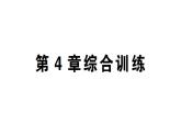 初中數(shù)學(xué)新湘教版八年級上冊第4章綜合訓(xùn)練作業(yè)課件（2025秋）
