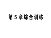 初中數(shù)學(xué)新湘教版八年級上冊第5章綜合訓(xùn)練作業(yè)課件（2025秋）