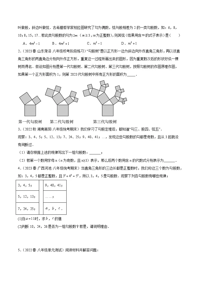 苏科版2025年七升八数学暑假衔接讲义专题10勾股定理及其逆定理重难点题型专训（十大题型）（原卷版）第2页