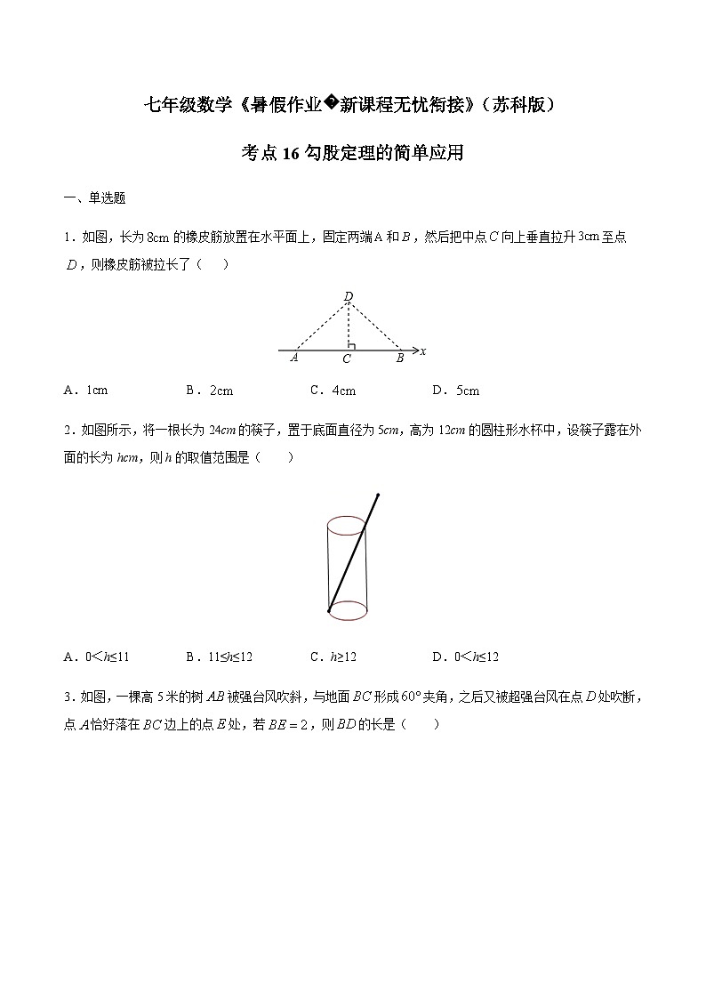 苏科版七升八数学暑假作业+新课程无忧衔接（新课预习）考点16勾股定理的简单应用（原卷版）第1页