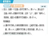 5.2 算術(shù)平方根（課件）2025-2026學(xué)年青島版八年級數(shù)學(xué)上冊