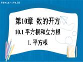 華東師大版（2024）數(shù)學(xué)八年級(jí)上冊(cè) 10.1 平方根和立方根 第1課時(shí) 平方根（課件）