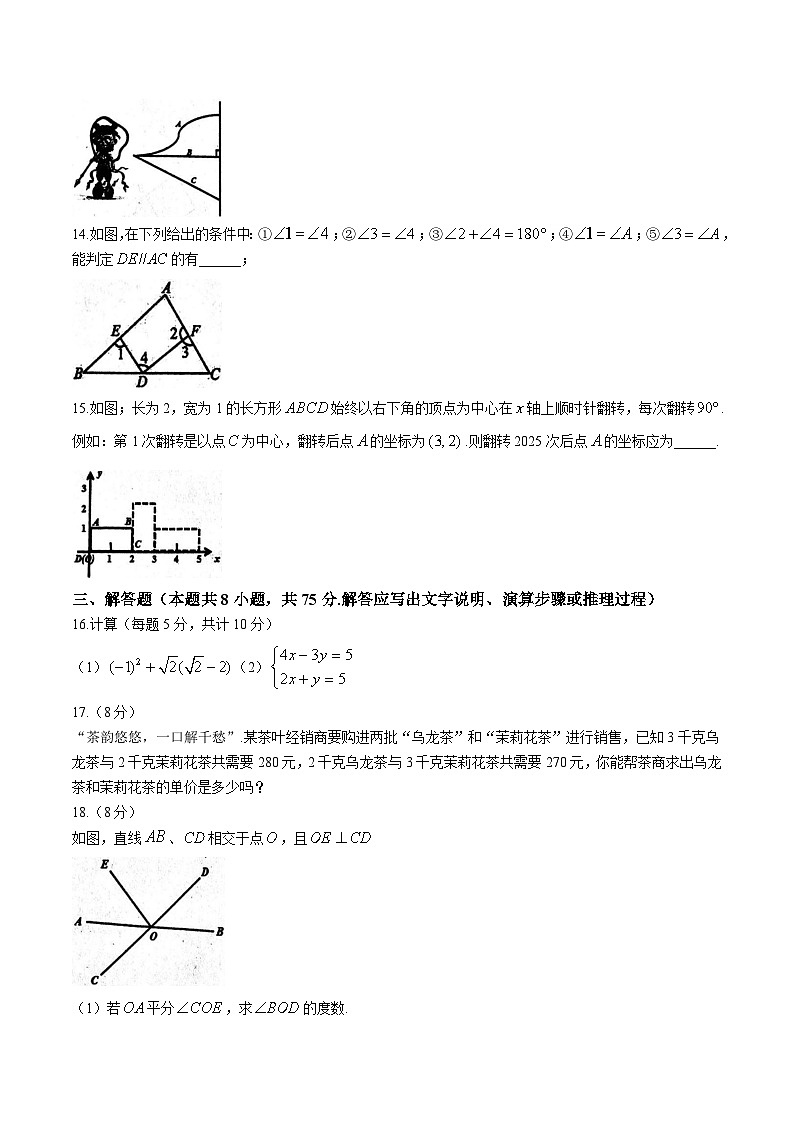 辽宁省葫芦岛市绥中县2024-2025学年七年级下学期5月期中考试数学试卷(含答案)第3页