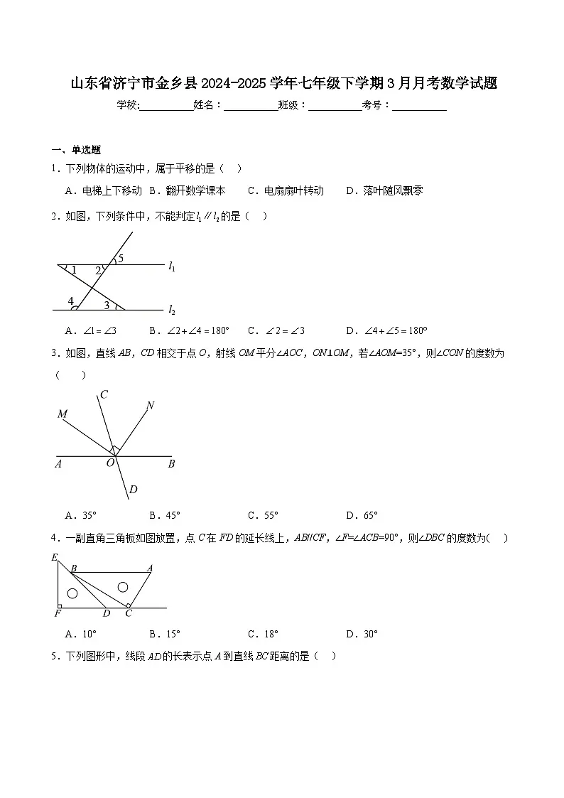山东省济宁市金乡县2024-2025学年七年级下学期3月月考数学试卷(含解析)第1页