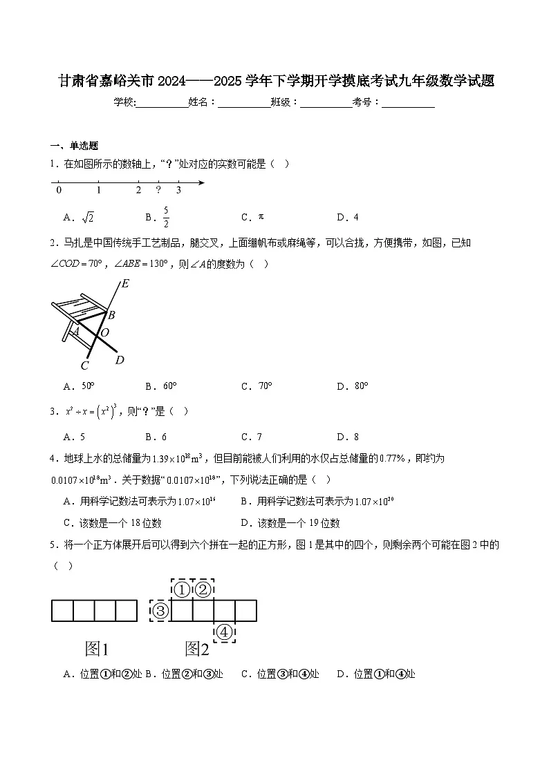 甘肃省嘉峪关市2025届九年级下学期开学摸底考试数学试卷(含解析)第1页
