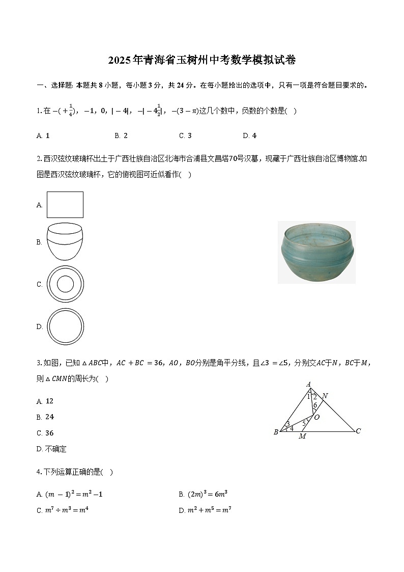 2025年青海省玉树州中考数学模拟试卷第1页