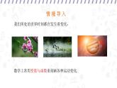 17.1 變量與函數(shù) （課件）-初中數(shù)學華東師大版八年級下冊