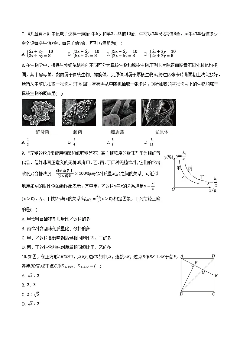 2025年广东省惠州市中考数学模拟收关卷(含答案)第2页