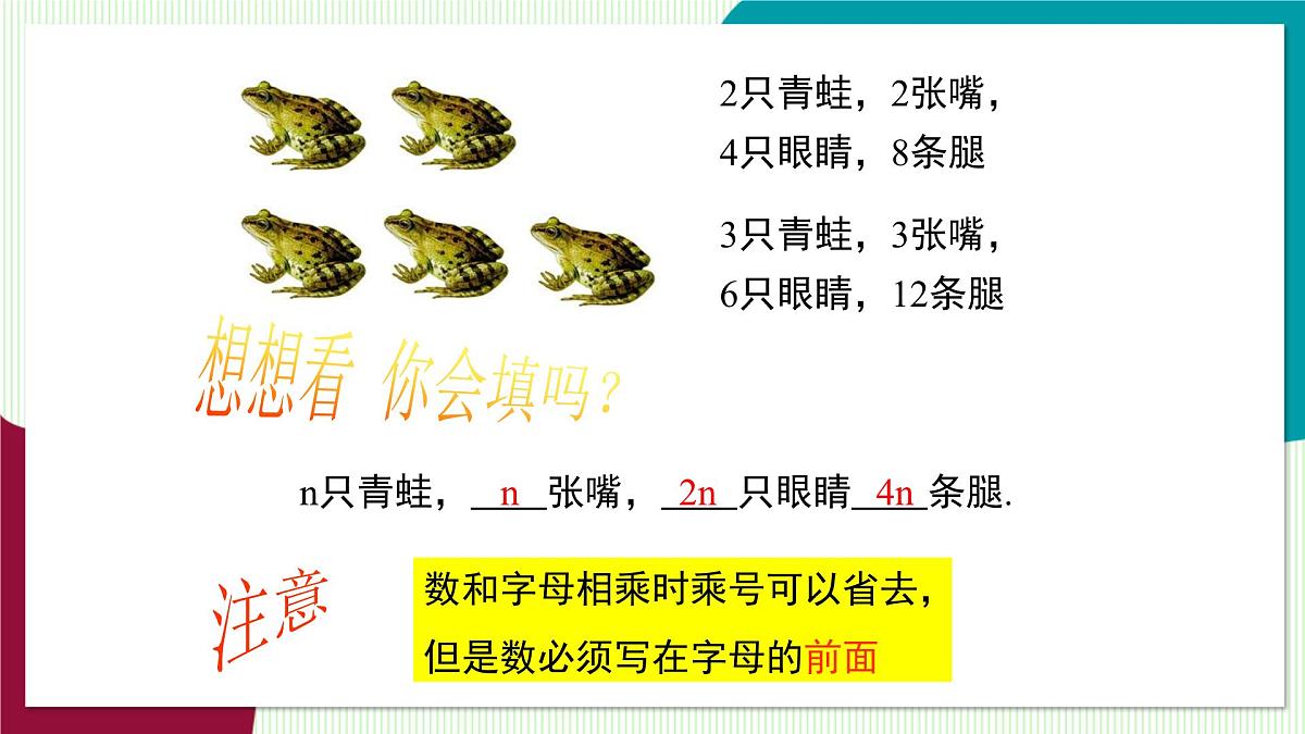 2.1.1 用字母表示数第5页