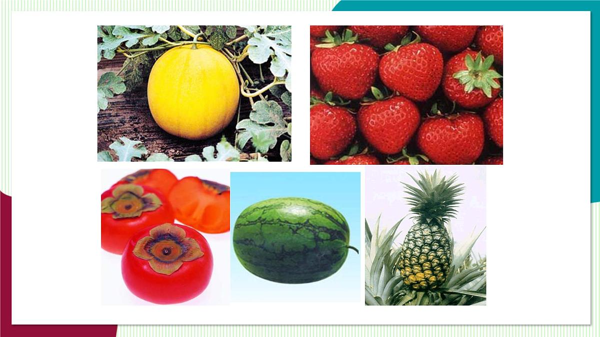 4.1 几何图形第7页