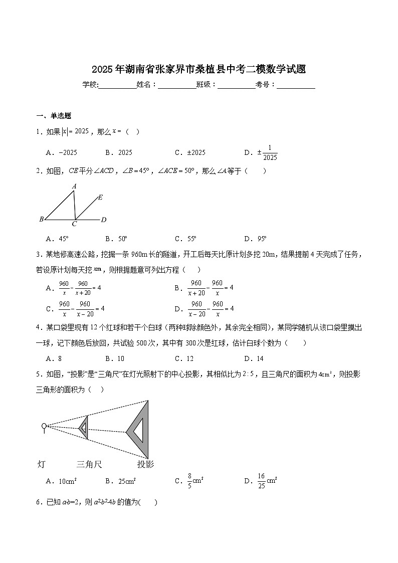 湖南省张家界市桑植县2025届九年级下学期中考二模数学试卷(含解析)第1页