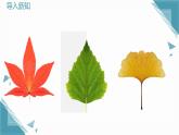 2025浙教版教材初中數(shù)學(xué)八年級(jí)上冊(cè)2.1圖形的軸對(duì)稱課件+教案