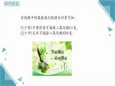 2025浙教版教材初中數(shù)學(xué)八年級上冊3.2 不等式的基本性質(zhì)課件+教案