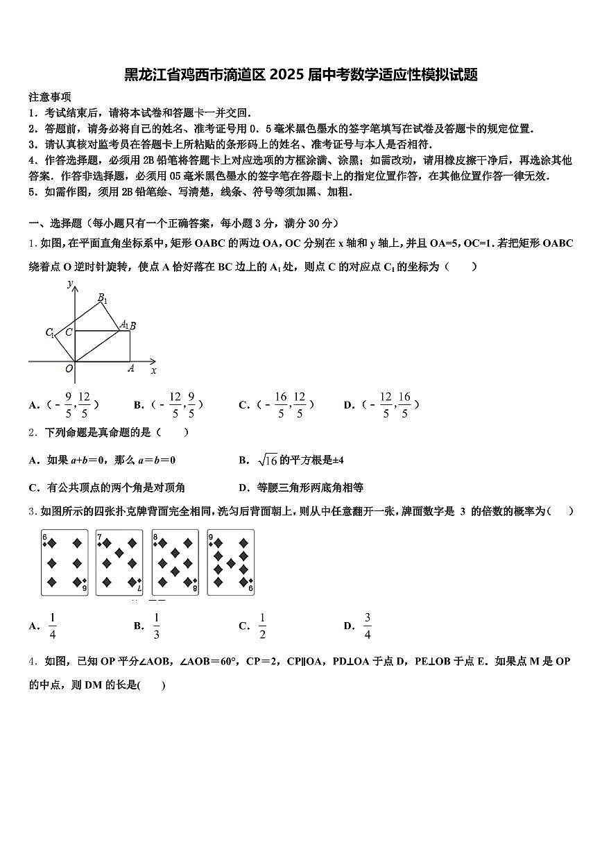 黑龙江省鸡西市滴道区2025届中考数学适应性模拟试题含解析第1页