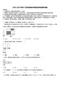 2024-2025学年广元市旺苍县中考适应性考试数学试题含解析