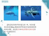 2025浙教版教材初中數(shù)學(xué)八年級(jí)上冊(cè)5.5一次函數(shù)的簡單應(yīng)用（第一課時(shí)）課件+教案