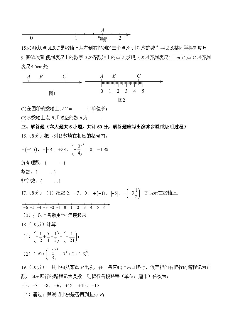 （2）有理数—七年级上册数学华师大版（2024）单元质检卷（B卷）第3页