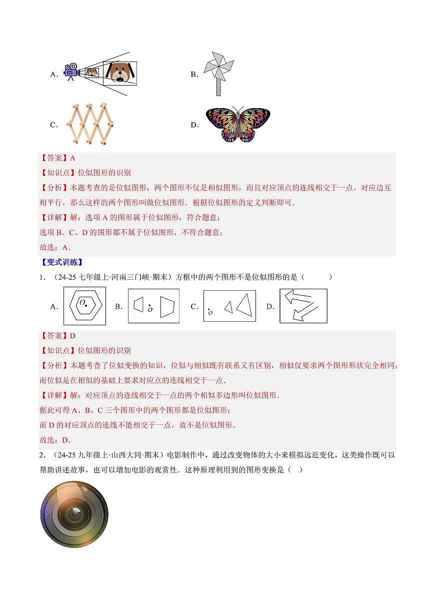 专题22 图形的位似(2知识点+10大题型+思维导图+过关测)(解析版)第2页