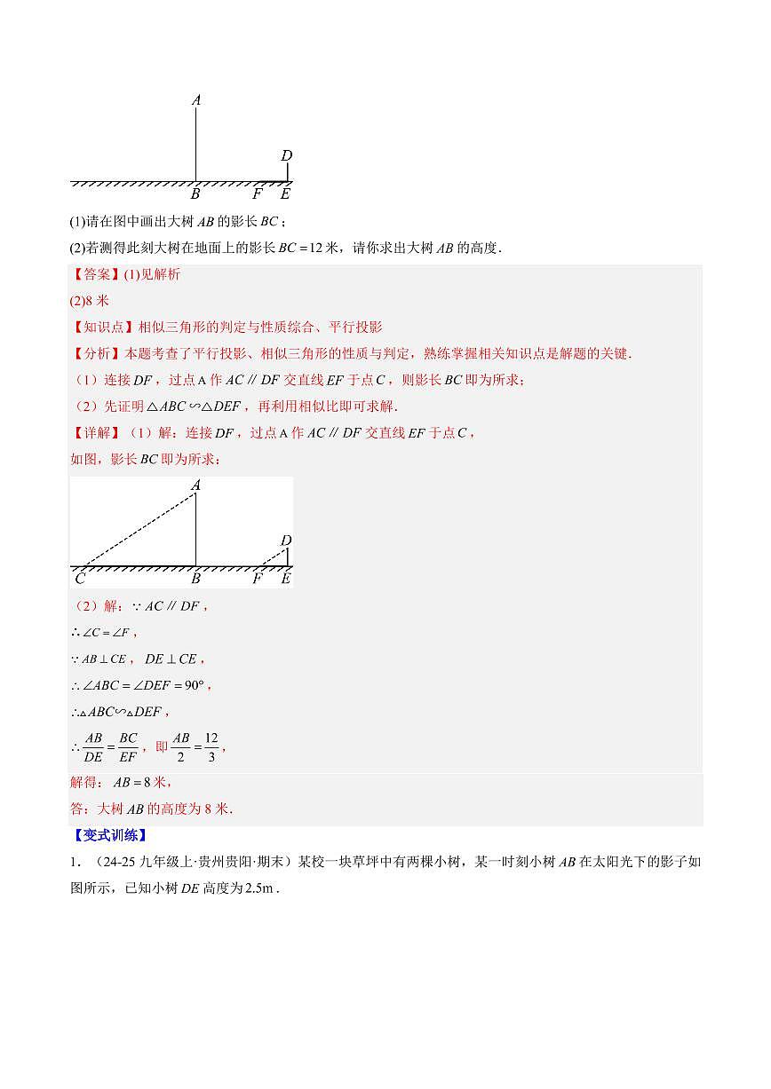 专题24 投影与视图(2知识点+8大题型+思维导图+过关测)(解析版)第2页