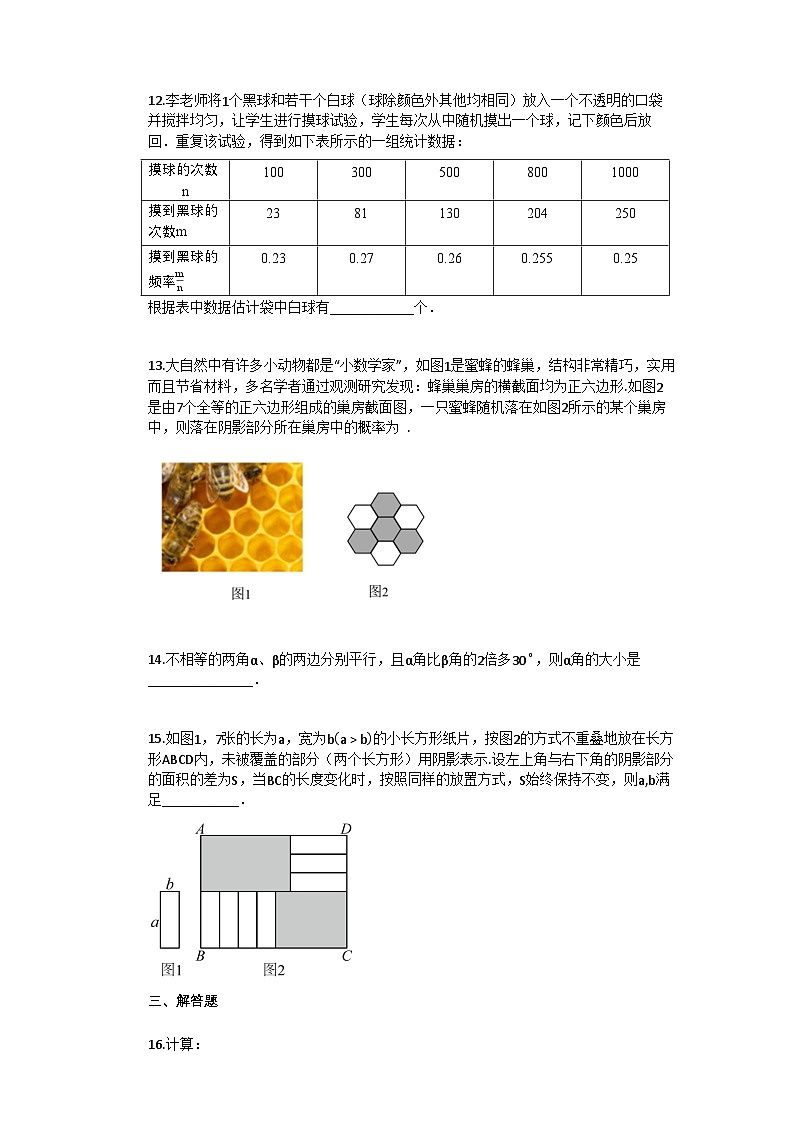 2024–2025学年辽宁省丹东市凤城市七年级下学期期中考试数学试题[附答案]第3页