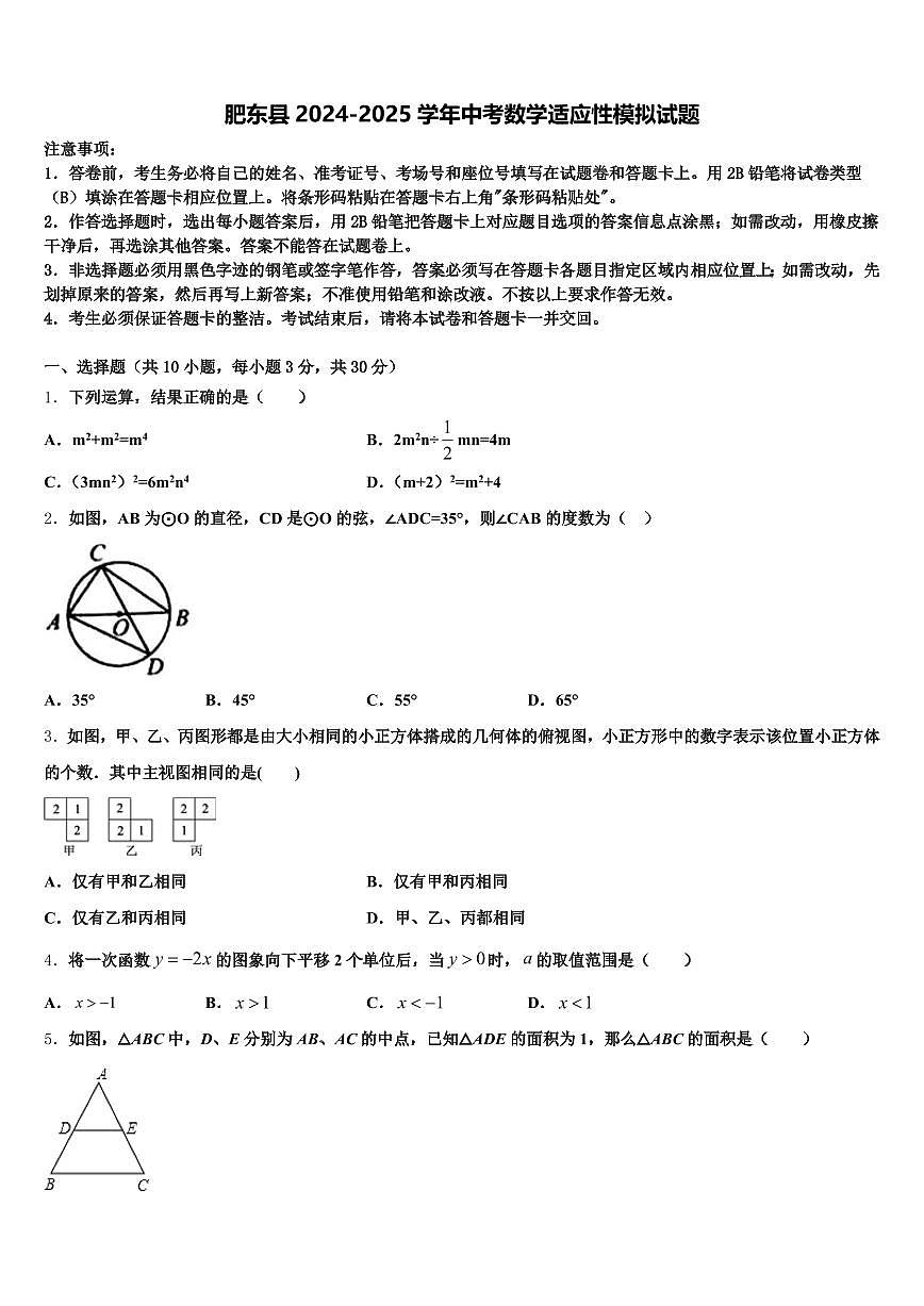肥东县2024-2025学年中考数学适应性模拟试题含解析第1页
