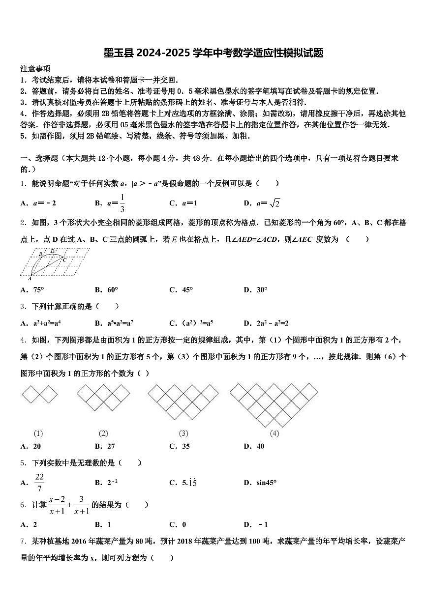 墨玉县2024-2025学年中考数学适应性模拟试题含解析第1页