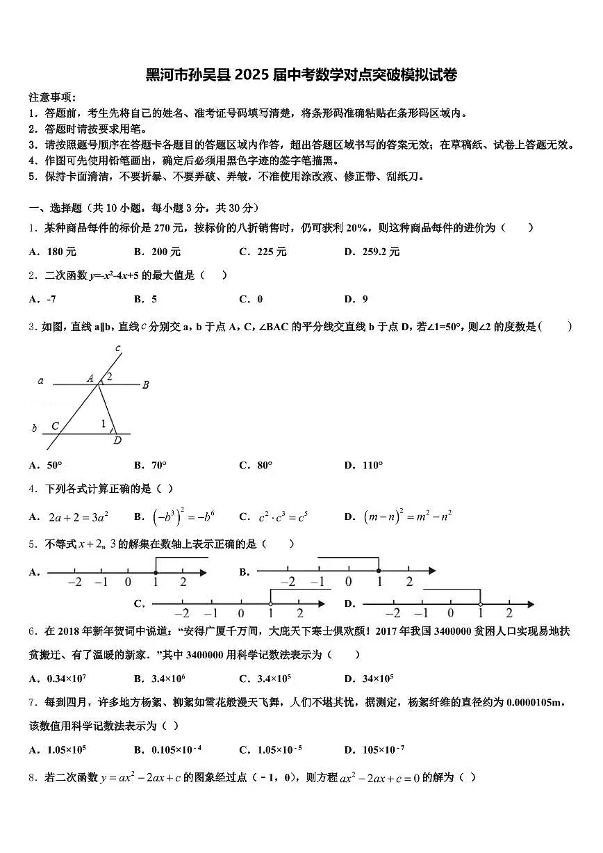 黑河市孙吴县2025届中考数学对点突破模拟试卷含解析第1页