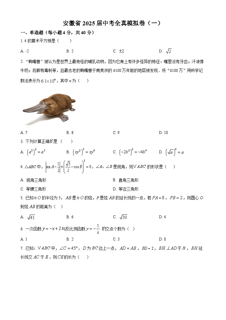 2025年安徽省淮南市中考一模数学试题第1页