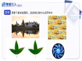 14.1全等三角形及其性質(zhì) 課件數(shù)學(xué)人教版2024八年級(jí)上冊(cè)