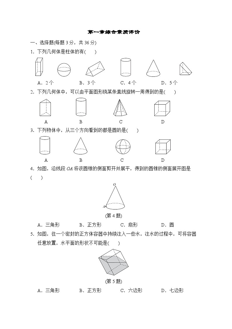 鲁教版（五四制）数学六年级上册 第一章测试卷（含答案）第1页