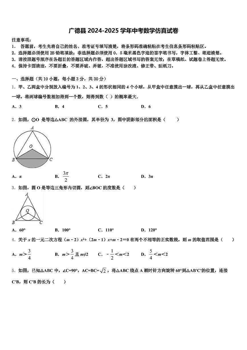 广德县2024-2025学年中考数学仿真试卷含解析第1页